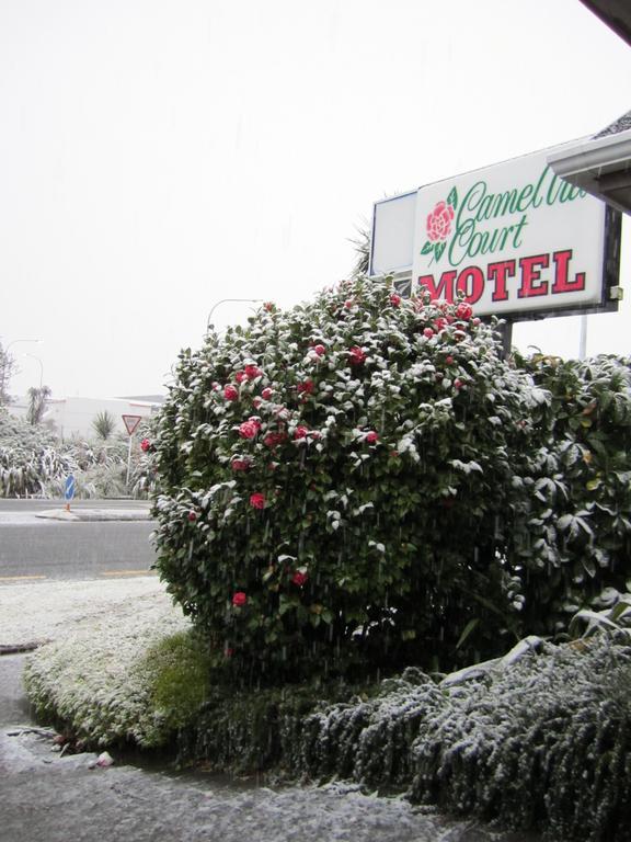 Camellia Court Motel ロワー・ハット エクステリア 写真